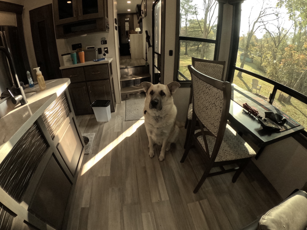 Alliance Paradigm 310RL review after 4 years of real use with a 2021 rear living fifth wheel