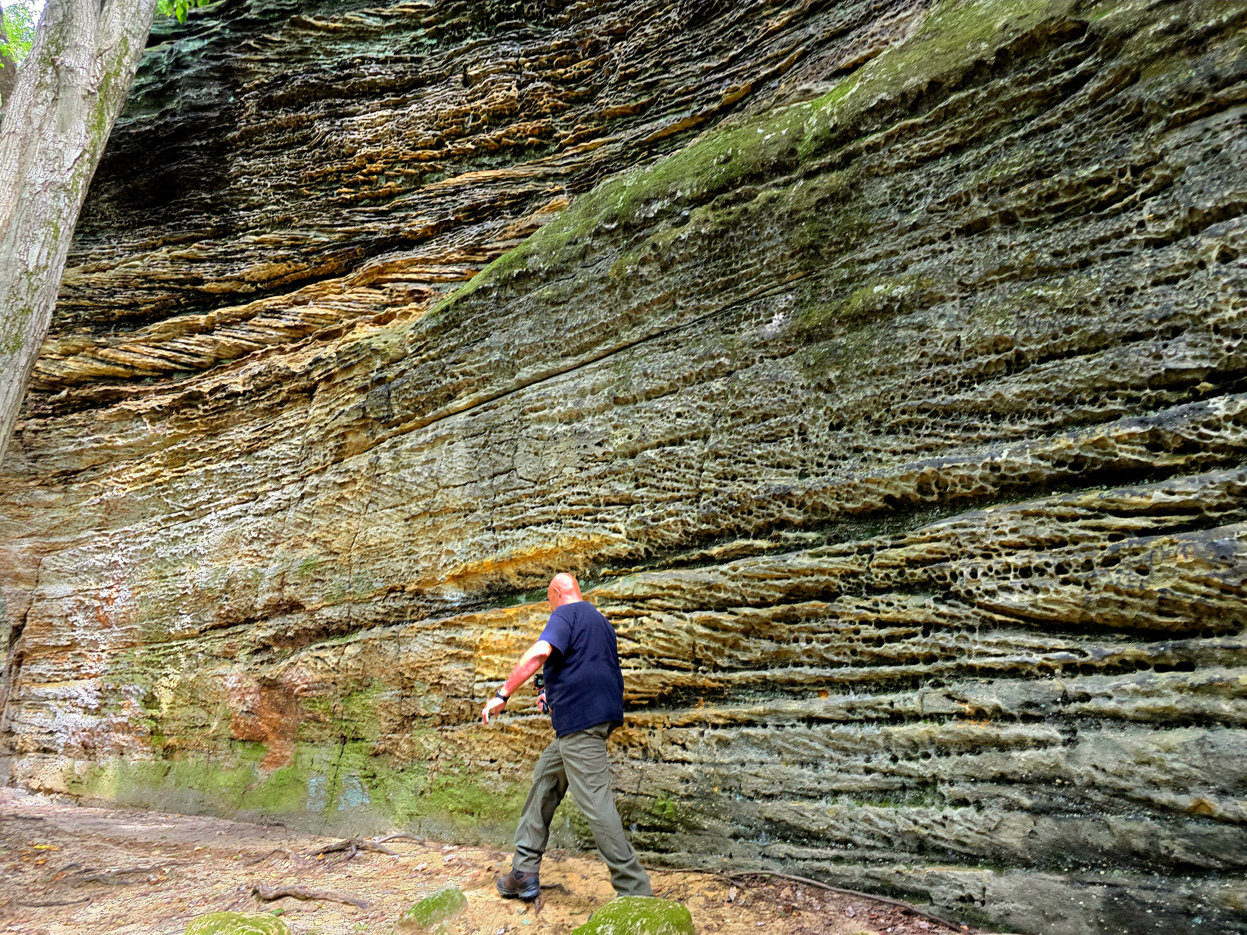 Ledges Trail at Cuyahoga Valley National Park with sandstone rock formations and forest trail