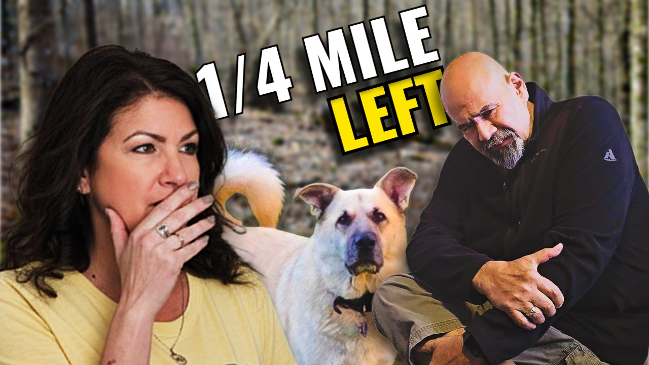 Hikers on a wooded Mohican trail during a five mile group hike